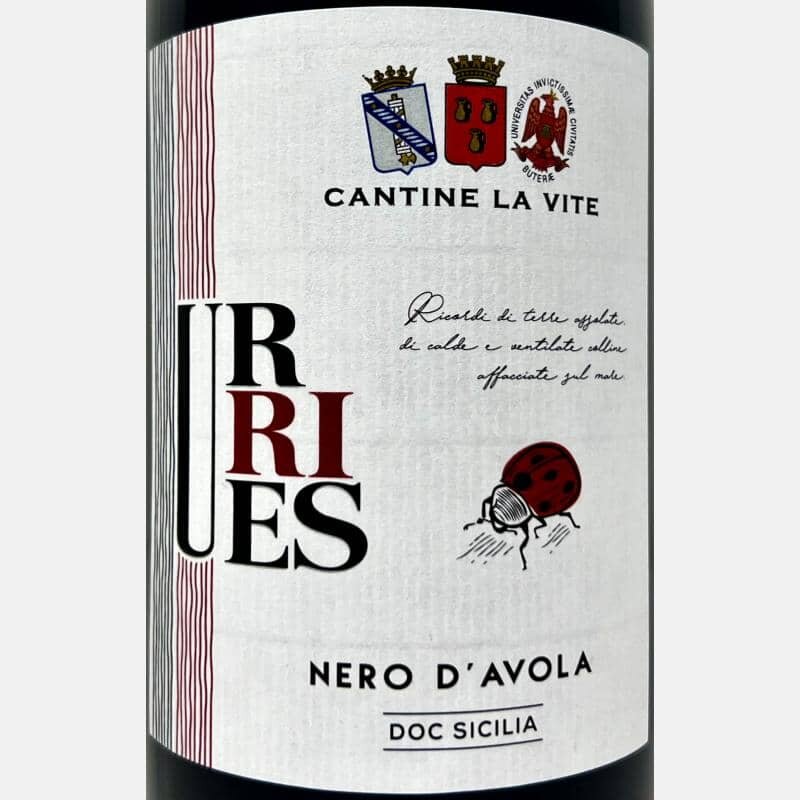 Nero d´Avola Urries Sicilia DOC 2021 - Cantine La Vite - Rotwein - ka