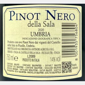 Pinot Nero Umbria IGT 2020 - Antinori Castello della Sala