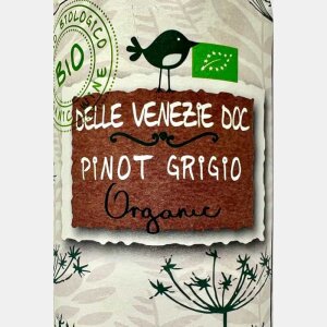 Pinot Grigio Delle Venezie DOC 2022 Bio - Botter