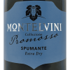 Spumante Collezione Promosso Extra Dry - Montelvini